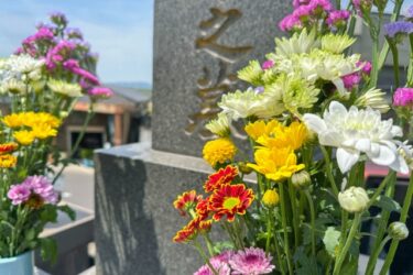 墓じまい 終活 生前整理 墓 墓石比較